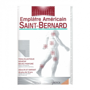 Saint-Bernard emplâtre grand modèle 19 x 30cm