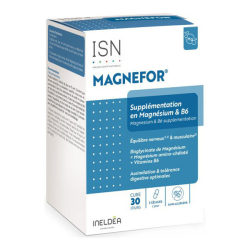 Ineldea Santé Naturelle Magnefor Supplémentation en magnésium et B6 90 gélules