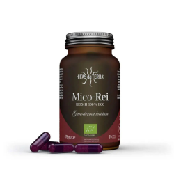 Hifas da Terra Mico-Rei bio 70 gélules végétales