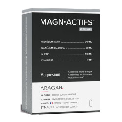 Aragan Synactifs Magn Actifs Magnésium 60 gélules