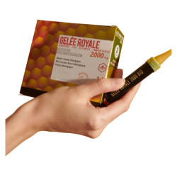 Dr Smith Expert Gelée Royale bio 2000mg 14 ampoules