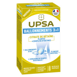 Upsa Ballonnements 3en1 40 gélules