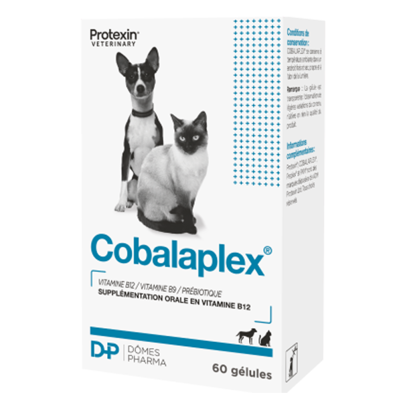Cobalaplex chien chat 60 gélules
